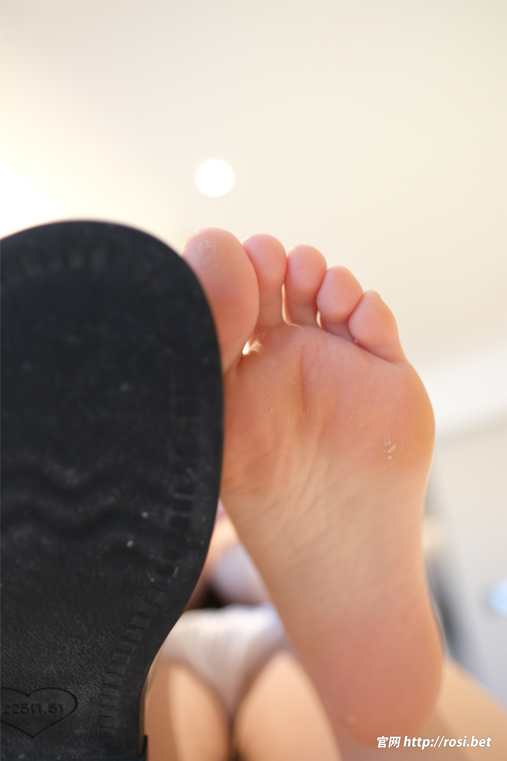 ROSI写真 2025.12.02 NO.5111